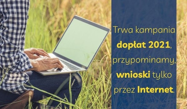 Obraz główny galerii