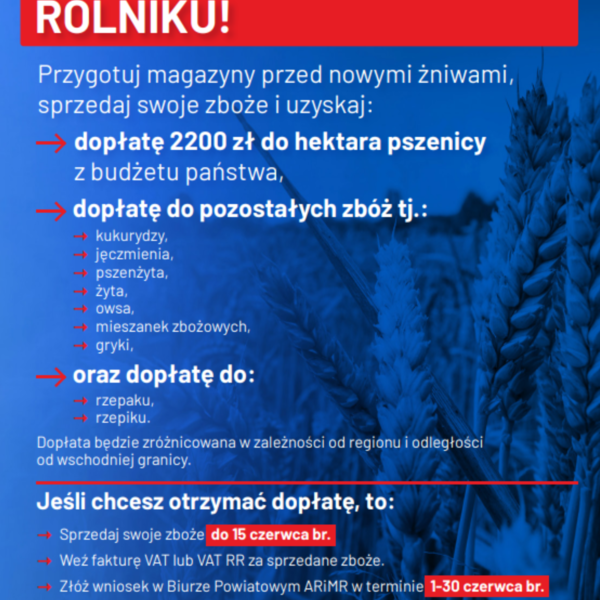 Obraz główny galerii