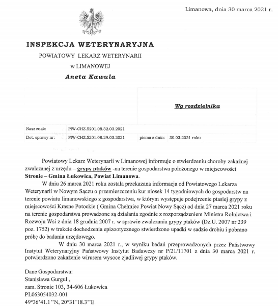 Obraz główny galerii