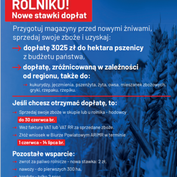 Obraz główny galerii