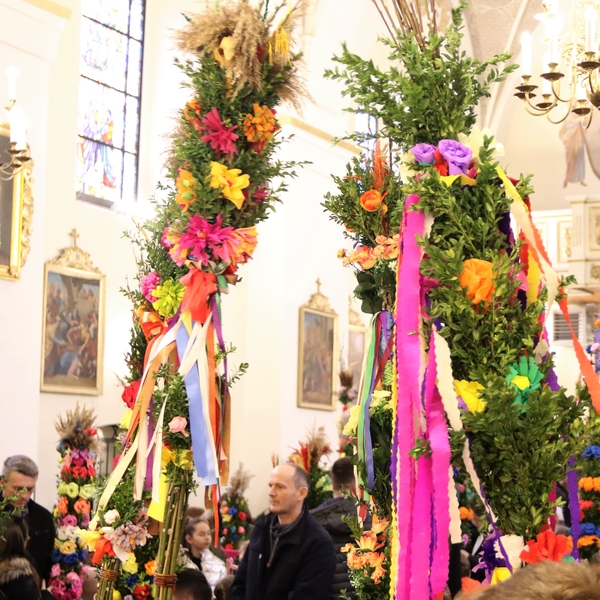 Obraz główny galerii